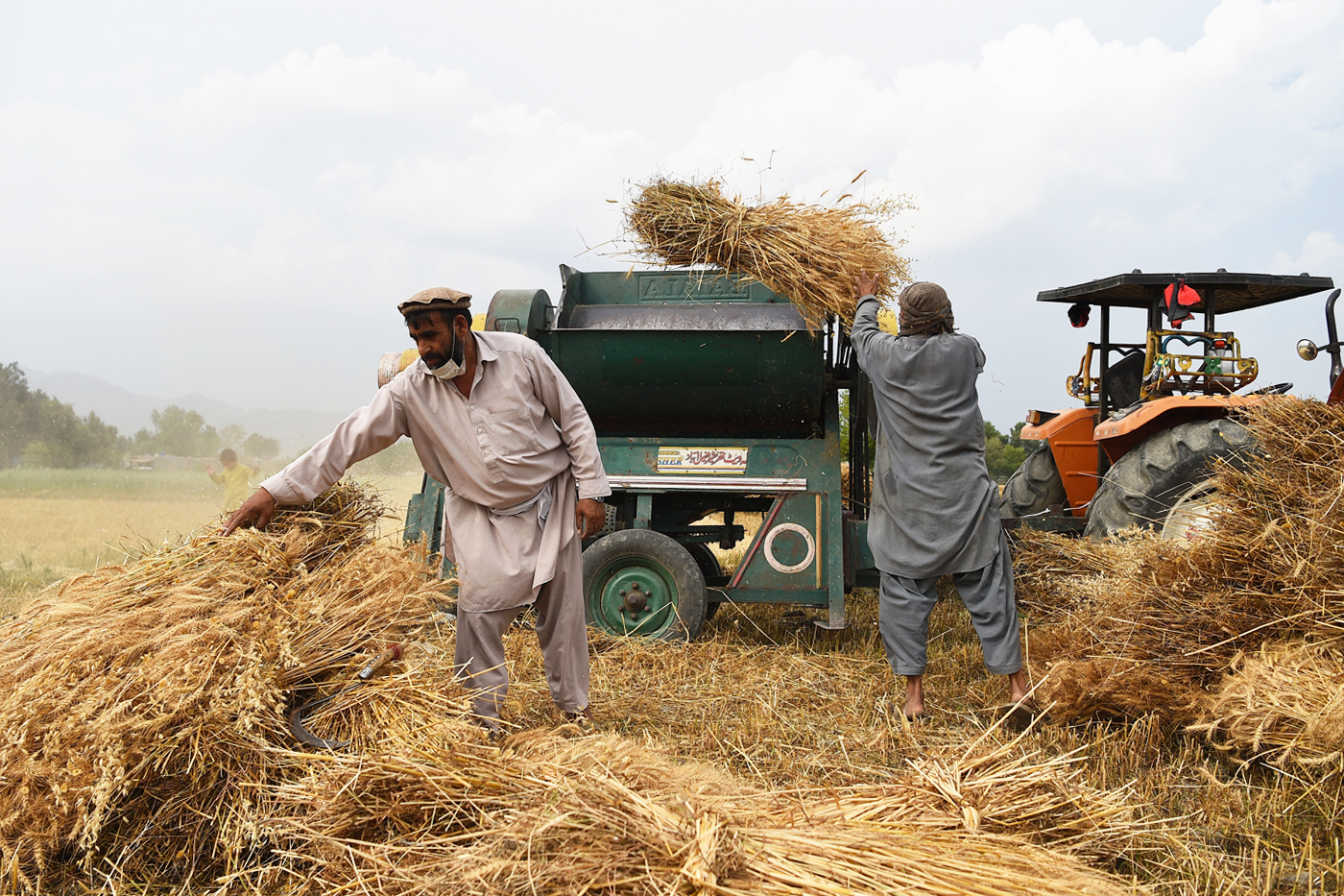 CERF assisted more than 250,000 vulnerable farming families across 16 provinces of Afghanistan