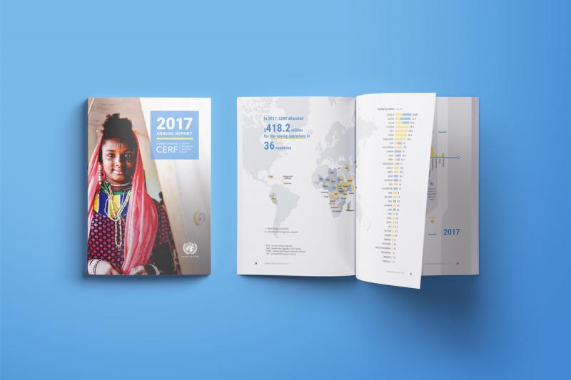 CERF 2017 Annual Report