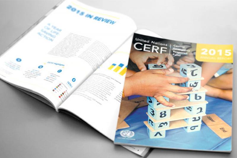 CERF releases its 2015 annual report