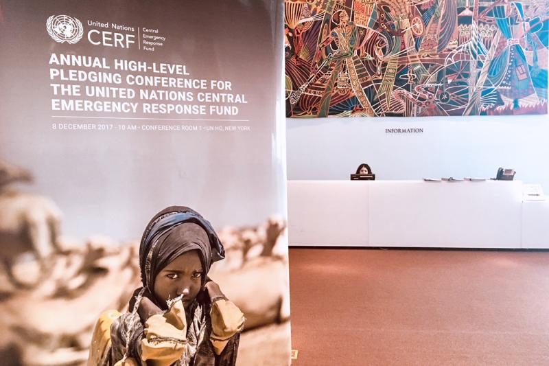 CERF Hits Record High Income for 2017 as Donors Pledge Additional Funds for 2018 